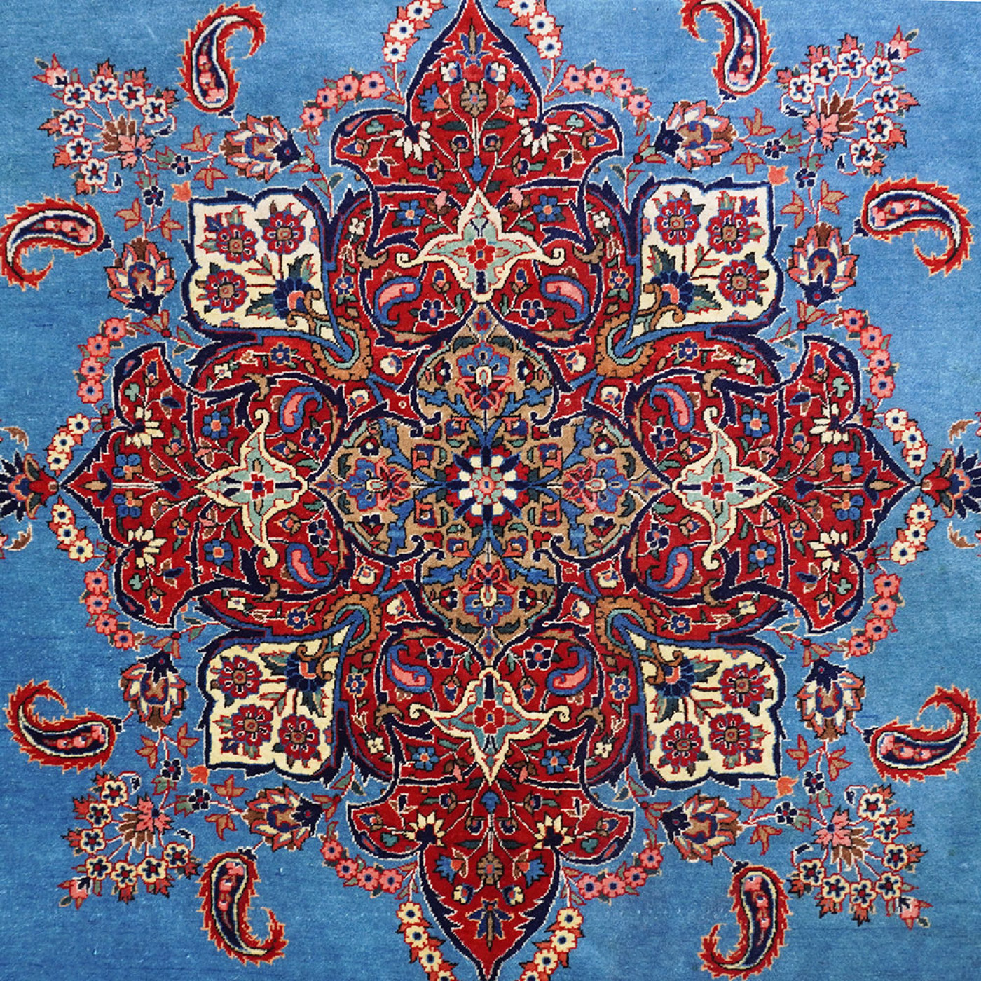 image Tappeto Kashan a fondo azzurro