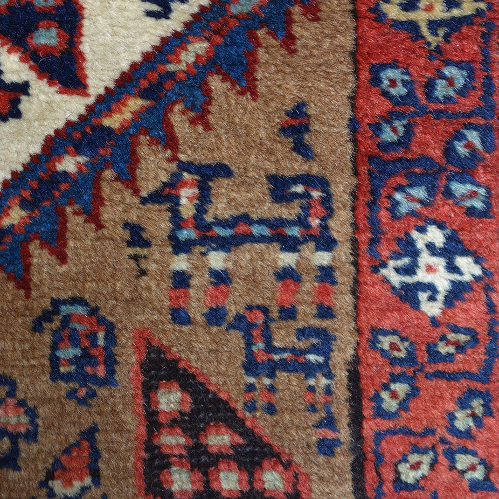 image Passatoia Sarab