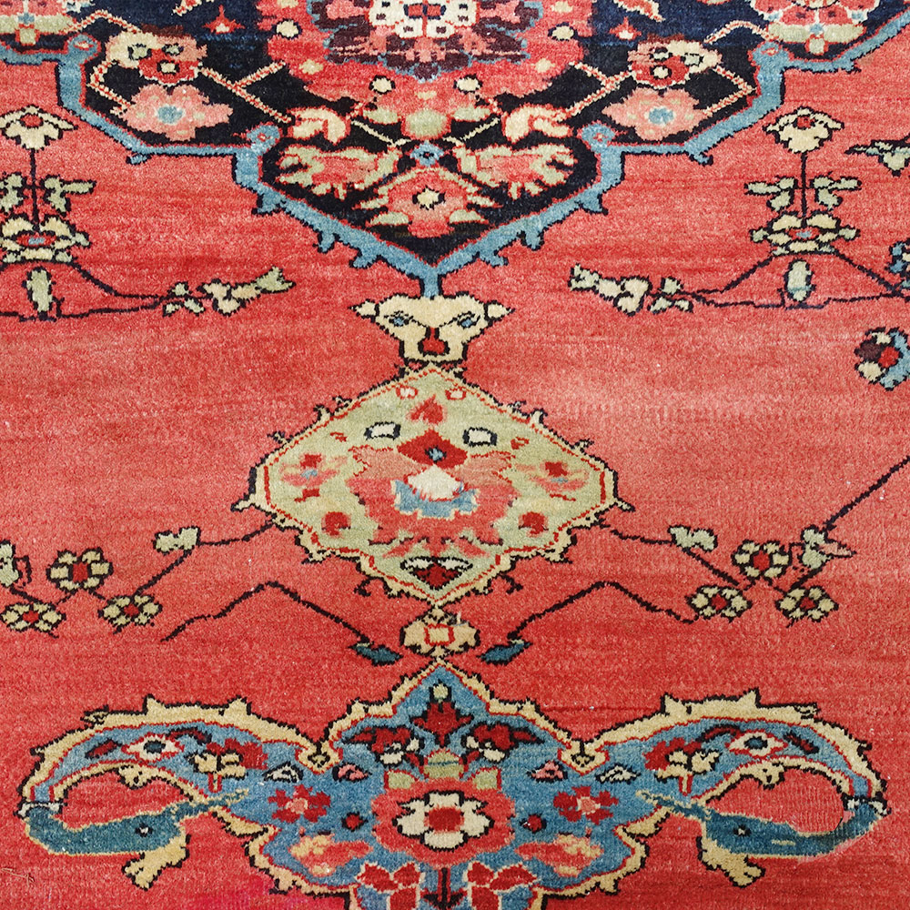 image Tappeto Sarouk Farahan